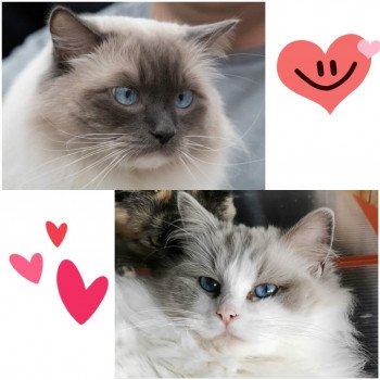 collagemaker_2020723213812595 collagemaker_2020723213812595